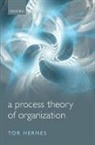 Departm Adjunct Professor, Profess Adjunct Professor, Tor Hernes, Tor (Professor Hernes, Tor (Professor; Adjunct Professor Hernes, Hernes Tor - Process Theory of Organization