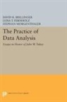 David R. Brillinger, David R. Fernholz Brillinger, David Brillinger, David R. Brillinger, Brillinger David R., Luisa Fernholz... - Practice of Data Analysis