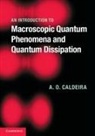 A O Caldeira, A. O. Caldeira, A. O. (Universidade Estadual De Campinas Caldeira, Amir Caldeira, Caldeira A. O. - Introduction to Macroscopic Quantum Phenomena and Quantum Dissipation