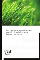 Jean-Denis Brassard, Brassard-j - Revetements nanostructures