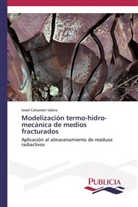 Israel Cañamón Valera - Modelización termo-hidro-mecánica de medios fracturados