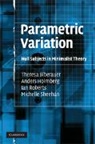 Theresa Biberauer, Theresa (University of Cambridge) Holmb Biberauer, Theresa Holmberg Biberauer, Anders Holmberg, Ian Roberts, Michelle Sheehan - Parametric Variation
