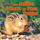 J. Clark Sawyer, J Clark Sawyer, J. Clark Sawyer - Las Ardillas de Tierra de Trece Franjas (Thirteen-Lined Ground Squirrels)