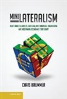 Chris Brummer, Brummer Chris - Minilateralism