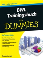 Tobias Amely - BWL Trainingsbuch für Dummies