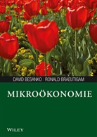Davi Besanko, David Besanko, Ronald Braeutigam, Brigitte Hilgner, Isabel Lamberty-Klaas - Mikroökonomie