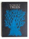 Durga Bai, Durga Bai a Bhajju Shyam, Bhajju Shyam, Ram Singh Urveti, g shyam Wolf sampath, Durga Bai... - Night life of trees