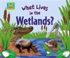Oona Gaarder-Juntti - What Lives in the Wetlands?