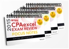 Pouya Valizadeh, Pouya Wiley Valizadeh, Wiley - Wiley Cpa Excel Exam Review 2015 Focus Notes