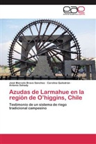 José Marcel Bravo Sánchez, José Marcelo Bravo Sánchez, Carolin Quilodrán, Carolina Quilodrán, Sa, Antonio Sahady - Azudas de Larmahue en la región de O higgins, Chile