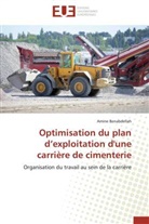 Amine Benabdellah, Benabdellah-a - Optimisation du plan d