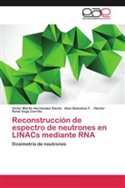 Ala Bañuelos F, Alan Bañuelos F, Alan Bañuelos F., Víctor Martí Hernández Dávila, Víctor Martín Hernández Dávila, V... - Reconstrucción de espectro de neutrones en LINACs mediante RNA