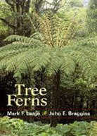 John E. Braggins, John E. Braggins, John F. Large E. Braggins, Mark F. Large, Mark F. Large - Tree Ferns
