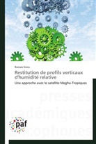 Ramsés Sivira, Sivira-r - Restitution de profils verticaux