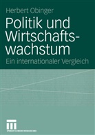 Herbert Obinger - Politik und Wirtschaftswachstum