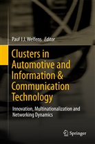 Pau J J Welfens, Paul J J Welfens, Paul J. J. Welfens, Paul J.J. Welfens - Clusters in Automotive and Information & Communication Technology