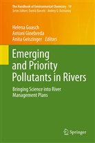 Anita Geiszinger, Anton Ginebreda, Antoni Ginebreda, Helena Guasch - The Handbook of Environmental Chemistry - 19: Emerging and Priority Pollutants in Rivers