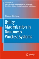 Johannes Brehmer - Utility Maximization in Nonconvex Wireless Systems