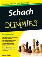 James Eade - Schach für Dummies