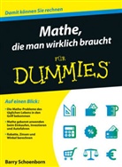Regine Freudenstein, Barry Schoenborn - Mathe, die man wirklich braucht für Dummies