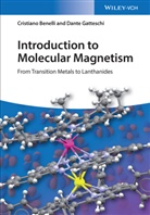 Cristian Benelli, Cristiano Benelli, Dant Gatteschi, Dante Gatteschi - Introduction to Molecular Magnetism