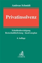 Andreas Schmidt - Privatinsolvenz