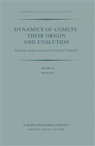 B Valsecchi, B Valsecchi, Carusi, A Carusi, A. Carusi, Giovanni B. Valsecchi - Dynamics of Comets: Their Origin and Evolution