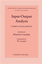 Maurizio Ciaschini, Giaschini, M Giaschini, M. Giaschini - Input-Output Analysis