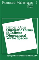H Gross, H. Groß, Herbert Gross - Quadratic Forms in Infinite Dimensional Vector Spaces