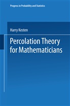 Kesten, Kesten - Percolation Theory for Mathematicians