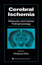 Wolfgan Walz, Wolfgang Walz - Cerebral Ischemia
