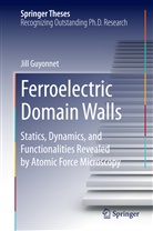 Jill Guyonnet - Ferroelectric Domain Walls
