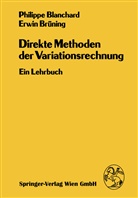 P Blanchard, Ph. Blanchard, Philipp Blanchard, Philippe Blanchard, E Brüning, E. Brüning... - Direkte Methoden der Variationsrechnung