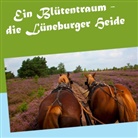 Gerhard Köhler - Ein Blütentraum - die Lüneburger Heide