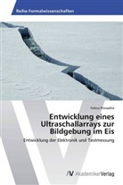 Felicia Primadita - Entwicklung eines Ultraschallarrays zur Bildgebung im Eis