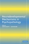 Dante Cicchetti, Dante (University of Rochester Cicchetti, Dante Walker Cicchetti, Elaine Walker, Dante Cicchetti, Elaine F. Walker - Neurodevelopmental Mechanisms in Psychopathology