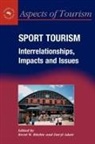 b adair Ritchie, Daryl Adair, Brent W. Ritchie - Sport tourism