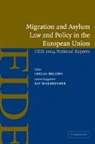 Imelda Higgins, Imelda (University College Dublin) Higgins, Kay Hailbronner, Imelda Higgins - Migration and Asylum Law and Policy in the European Union