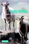 T. H. (University of Cambridge) Pem Clutton-Brock, T. H. Pemberton Clutton-Brock, T.h. Pemberton Clutton-Brock, T. H Clutton-Brock, T. H. Clutton-Brock, T. H. (University of Cambridge) Clutton-Brock... - Soay Sheep