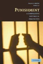 Hong Lu, Hong (University of Nevada Lu, Mr. Terance D. Miethe, Mr. Terance D. Lu Miethe, Terance D Miethe, Terance D. Miethe... - Punishment
