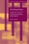 Julian V. Roberts, Julian V. (University of Ottawa) Roberts, Alfred Blumstein, David P. Farrington - Virtual Prison