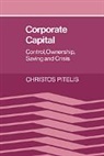 Pitelis Christos, Christos Pitelis, Christos (Padagogische Akademie Pitelis - Corporate Capital