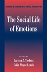 Larissa Tiedens, Larissa Leach Tiedens, Larissa Z Tiedens, Larissa Z. Tiedens, Larissa Z. (Stanford University Tiedens, Larissa Z. Leach Tiedens... - Social Life of Emotions