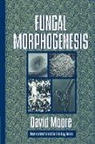 David Moore, S. David Moore, Jonathan B. L. Bard - Fungal Morphogenesis