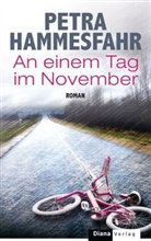 Petra Hammesfahr - An einem Tag im November