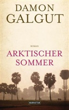 Damon Galgut - Arktischer Sommer