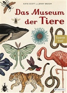 Jenny Broom, Katie Scott, Katie Scott - Das Museum der Tiere