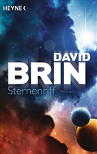 David Brin - Sternenriff