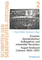 Hans W Herrmann, Hans W. Herrmann, Hans-Walter Herrmann - Zwischen demokratischem Aufbegehren und industrieller Revolution: August Ferdinand Culmann (1804-1891)