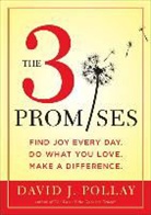 David J. Pollay - The 3 Promises